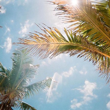 Secluded Paradise: 7 Bedroom Villa 6372 Loughman エクステリア 写真