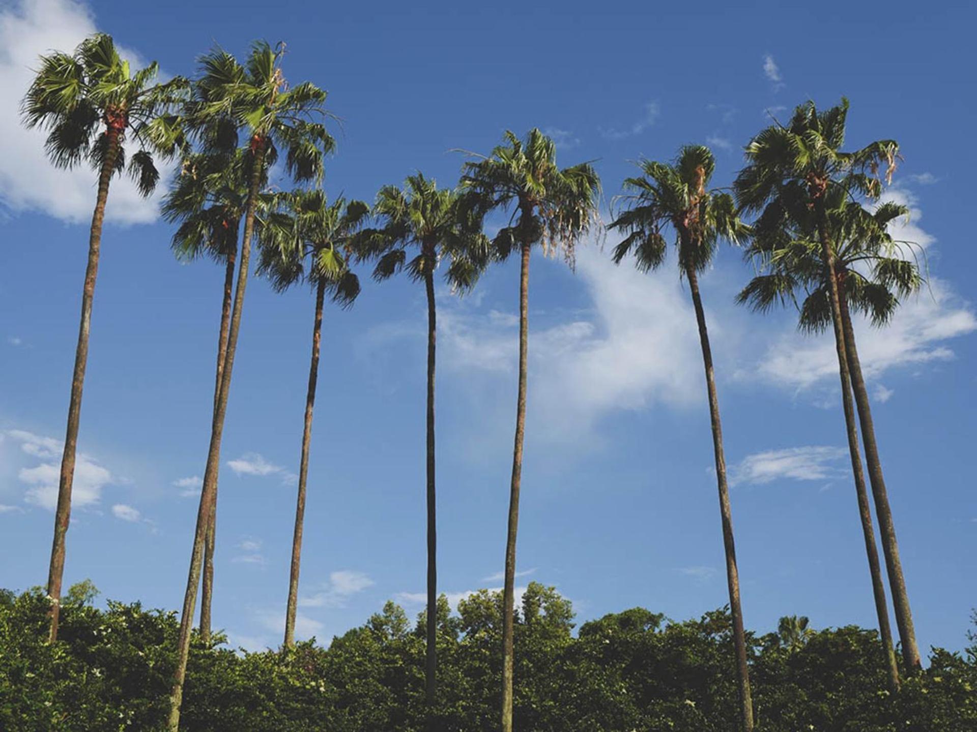 Secluded Paradise: 7 Bedroom Villa 6372 Loughman エクステリア 写真